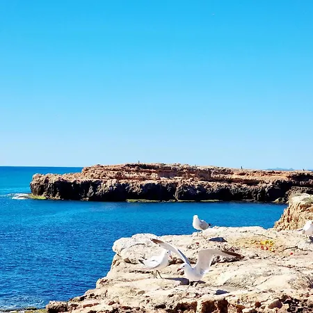 شقة Modern And Cozy Just Steps From Locos *