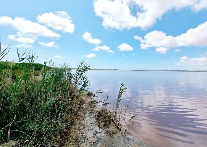 Modern And Cozy Just Steps From Locos Daire Torrevieja