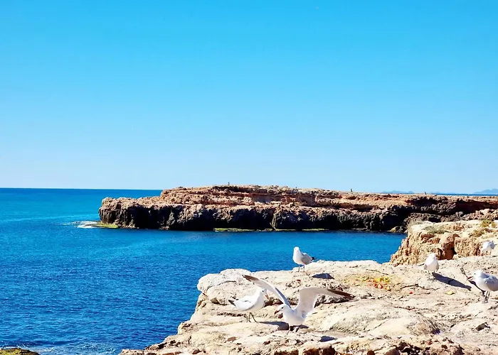 Apartment Modern And Cozy Just Steps From Locos *